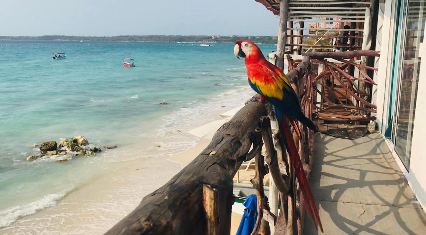 Hostal Lamar Baru Donde Gertrudis Playa Blanca Zewnętrze zdjęcie